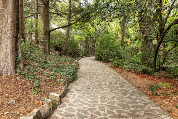 Stone Walkway Repair in Lexington