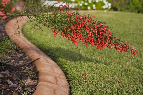 Brick Edging in Lexington