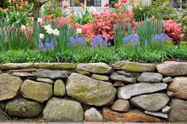 Stone Wall Hardscaping in Lexington