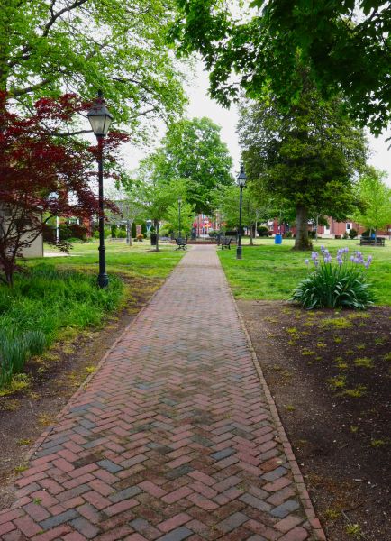 Brick Pathway Repair in Lexington