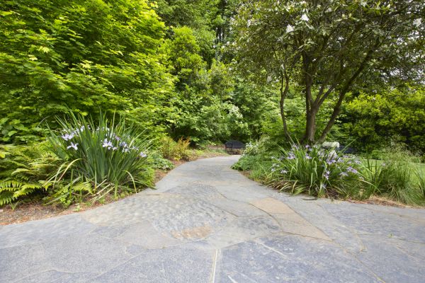 Stone Hardscape Service in Lexington