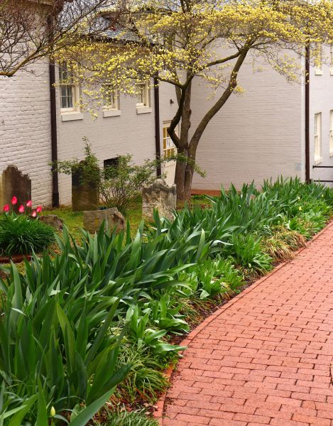 Brick Flatwork Repair in Lexington